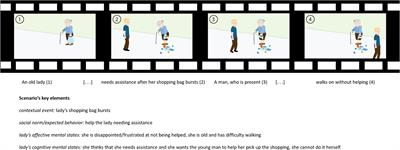 Human reasoning on social interactions in ecological contexts: insights from the theory of mind brain circuits